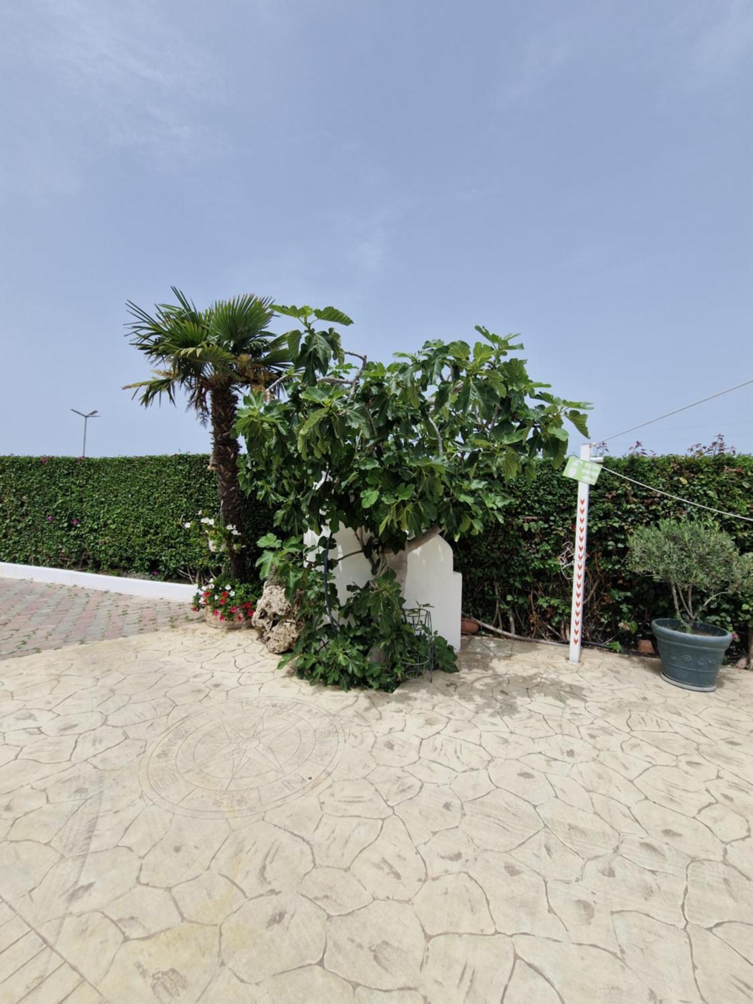 Santa Venere Apartments "Parcheggio Privato" Ricarica Auto Elettriche Tropea Bagian luar foto